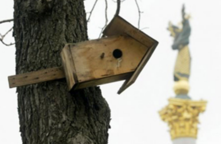 Регистрационная реформа провалилась