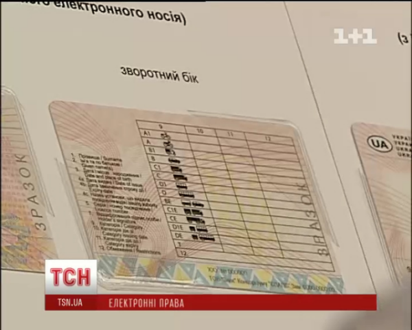 Биометрические права с чипом упростят водителям общение с гаишниками
