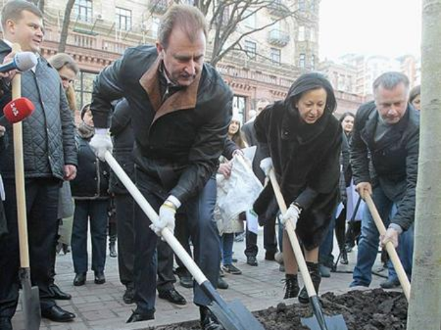 Белые каштаны, вестники подлога: куда подевались «элитные итальянцы»