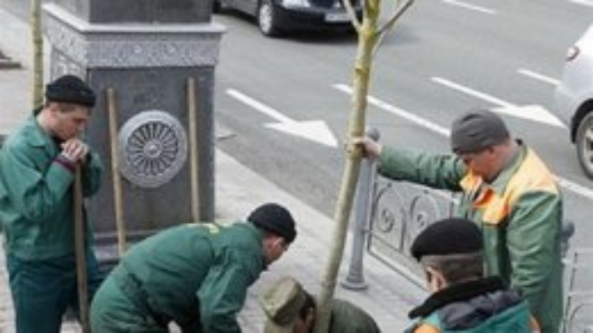 Попов отстранил от работы чиновника, ответственного за "липовые каштаны"