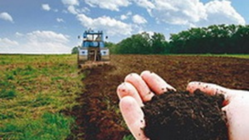 Чем и какие страны мира кормит Украина?