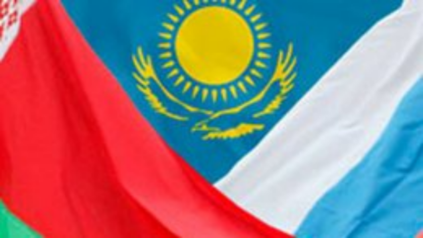 Статус наблюдателя ТС Украина может получить в ближайшие дни