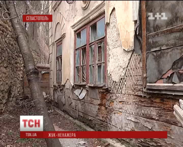 В Крыму людей атаковали кароеды