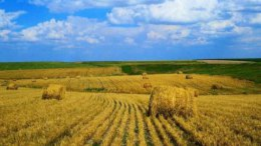 Нужен ли Украине Государственный земельный банк