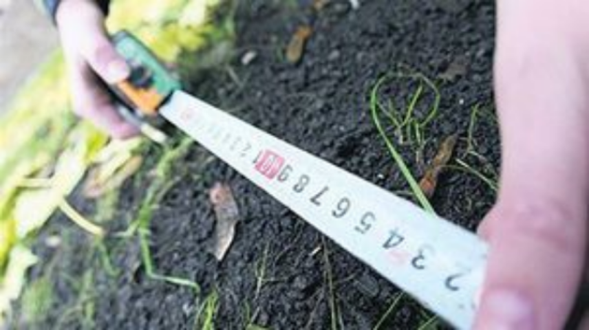 Утвержден порядок получения информации для проверок в сфере земельных отношений