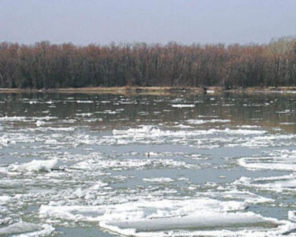 Воды Днепра не угрожают подтоплению БСА