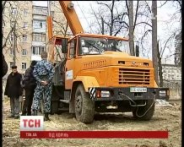 В Киеве старый сосновый парк вырубают под жилой комплекс