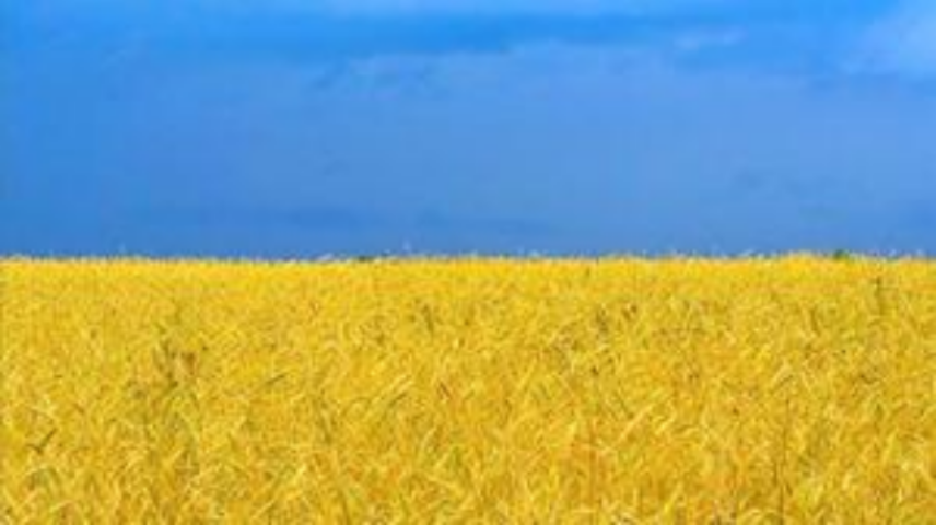 Что будет делать Украина в Таможенном союзе