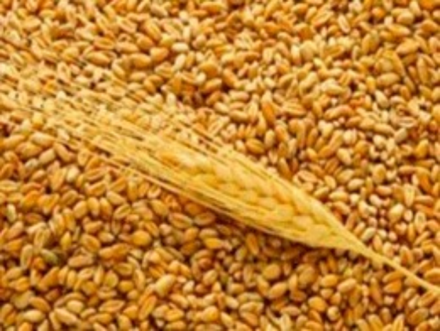 Какие продукты будут в дефиците из-за непогоды?