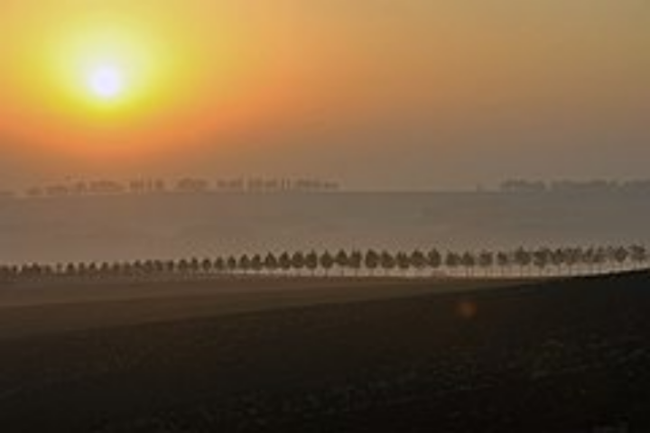 Землю снимут с экспертизы
