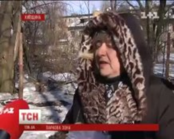 Под Киевом вырубают парк под застройку