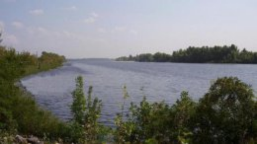 Экологическая прокуратура вступилась за остров Галерный в Киеве