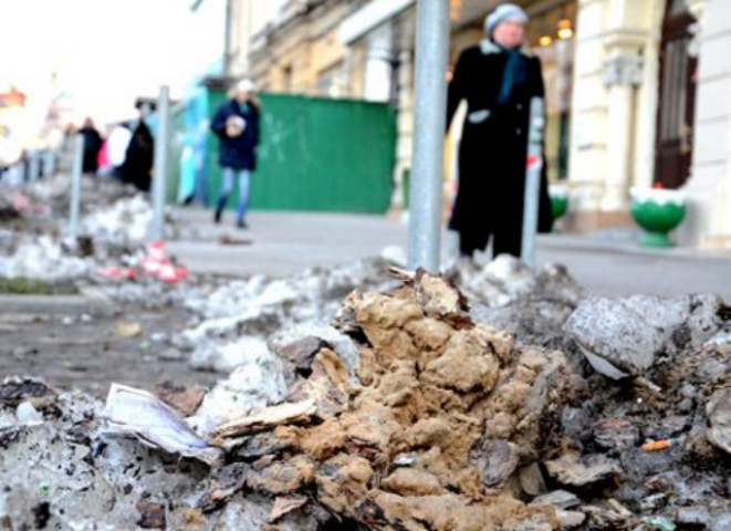 В центре Киева тротуары загромождают кучи мусора и фекалий. Фото