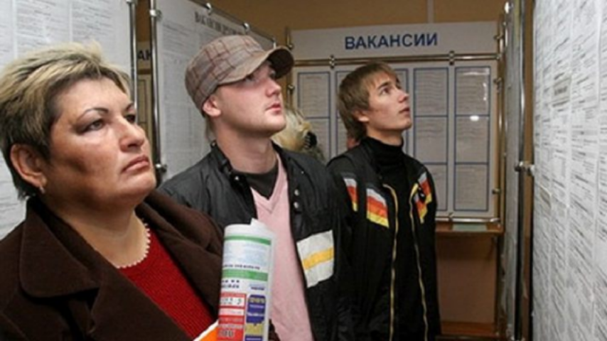 Вакансии нарасхват: в каком регионе можно трудоустроиться?