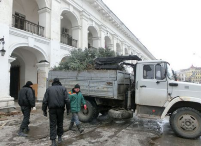 Гостиный двор «покращили» вырубкой елок. Фото
