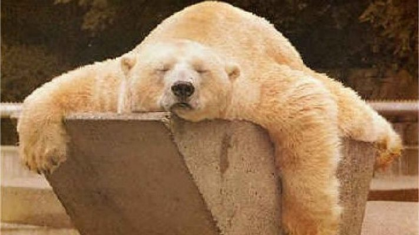 7 простых советов для качественного сна