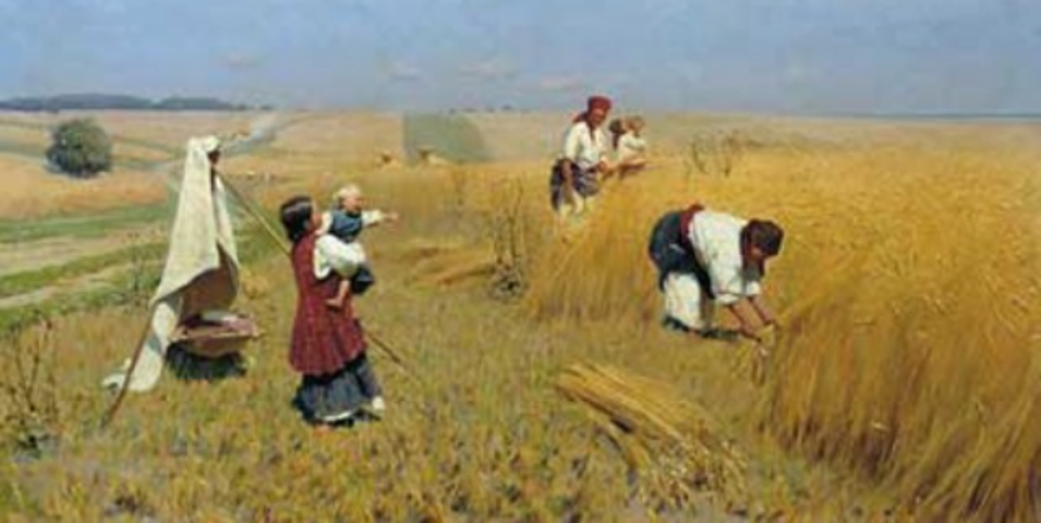 Кто останется без земельного надела?
