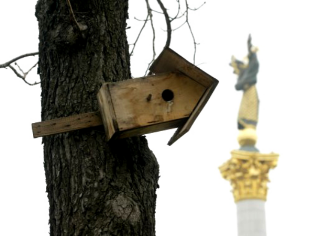 Удастся ли купить квартиру в 2013 году