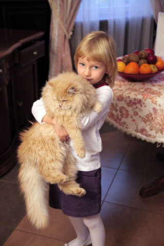Кошка Белла утирает Фарион слезы, а Бомжа Зварыча кормит целое село