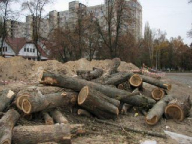 Прокуратура Киевской области требует вернуть государству 536 га Беличанского леса