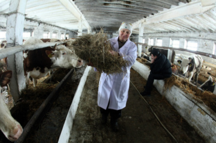 Украина спасет мир от продовольственного кризиса, но пока не может прокормить сама себя