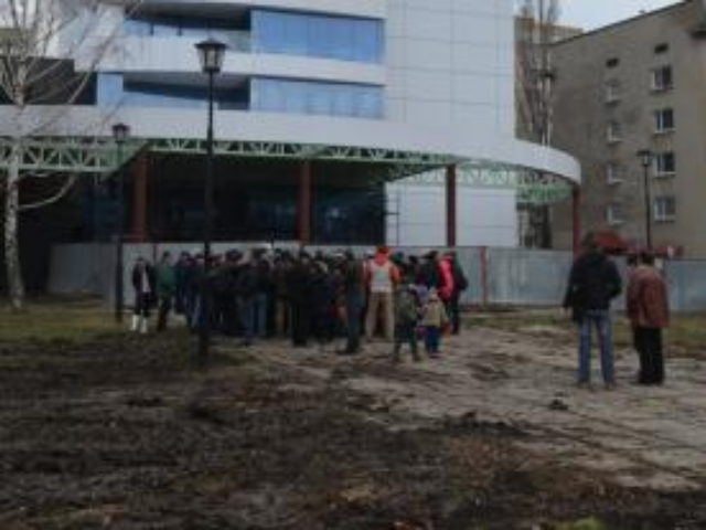 Мэрия требует возмещения ущерба за уничтожение деревьев в Одессе