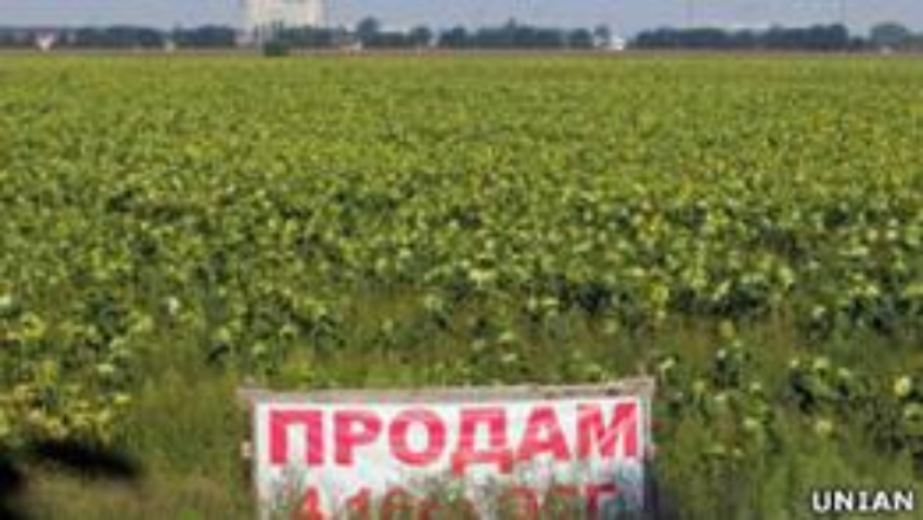 Украинская земля: запретить нельзя продать