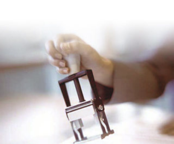 Нотариусы ждут инструкций. Минюст молчит