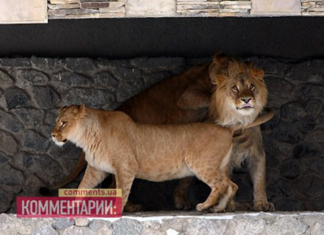 Главная беда киевского зоопарка – люди 