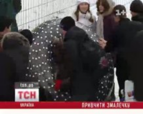 В Киеве появилась "налоговая" детская площадка