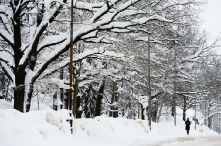 Рождество в Украине будет снежным