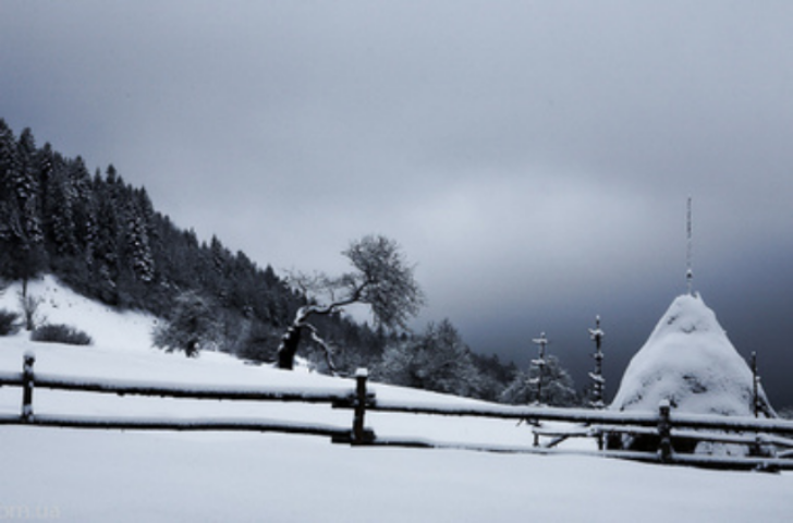 Мошенник сдал в аренду на Новый год несуществующий коттедж