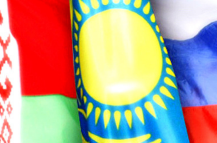 Оппозиция не допустит вступления Украины в Таможенный союз