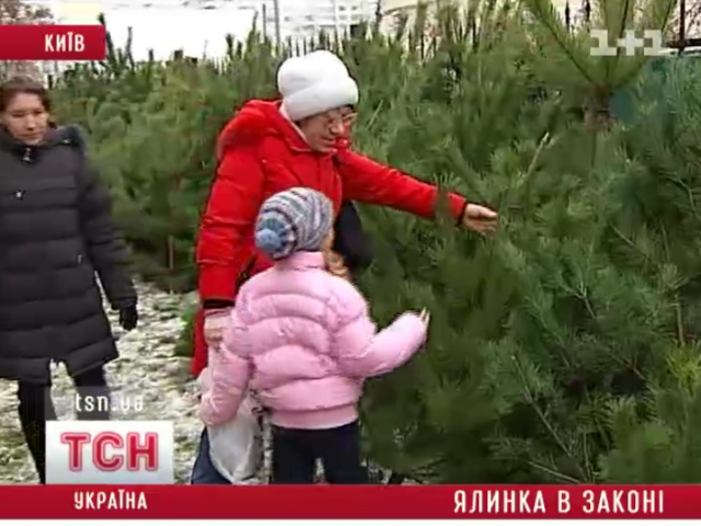 В Киеве предприимчивые торговцы подделывают чипы на елках