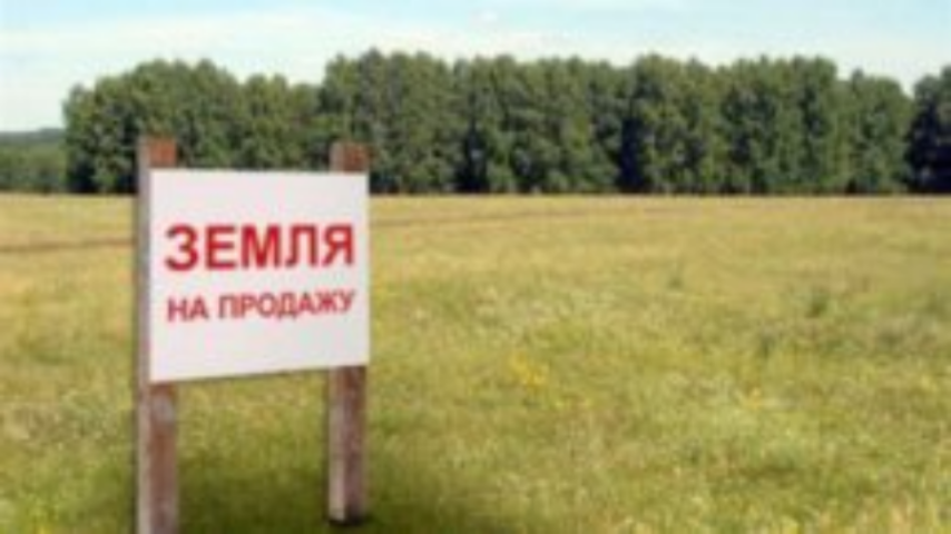 Права на земельные паи запрещено вносить в уставные фонды — до 1 января 2016 года