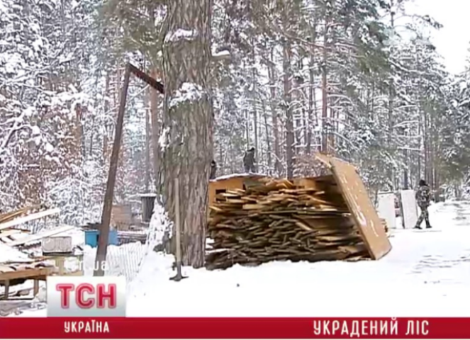 Неизвестные захватили шесть гектаров леса в Конча-Заспе