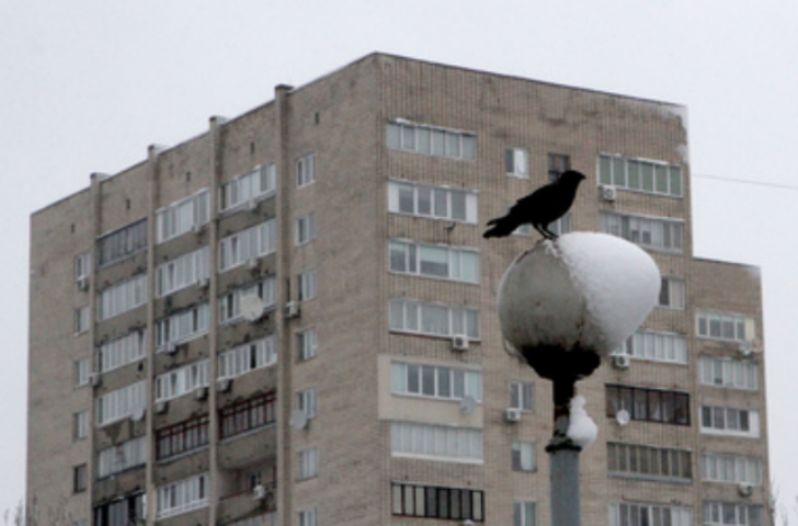 Жилье в Киеве будет дешеветь