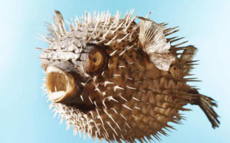 Куда несет волна агрессии?