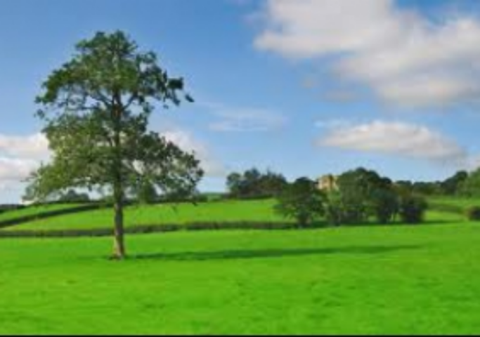 Днепровская райадминистрация в Киеве получила участок размером 0,48 га