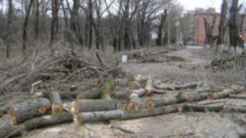 Киевсовет выделил землю для строительства "военного" дома