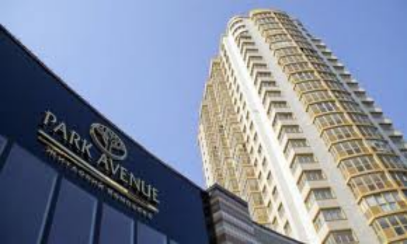 PARK AVENUE на пути к публичности
