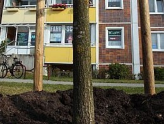 Названы лидеры по сдаче новостроек в 2012 году