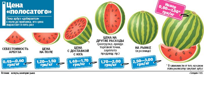 Сколько весит арбуз. Диаметр арбуза и вес. Арбуз ккал. 1 4 арбуза это сколько. Дроби которые меньше половины.