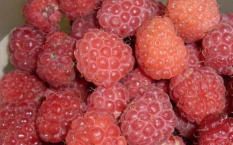 Как сварить вкусное варенье из малины?