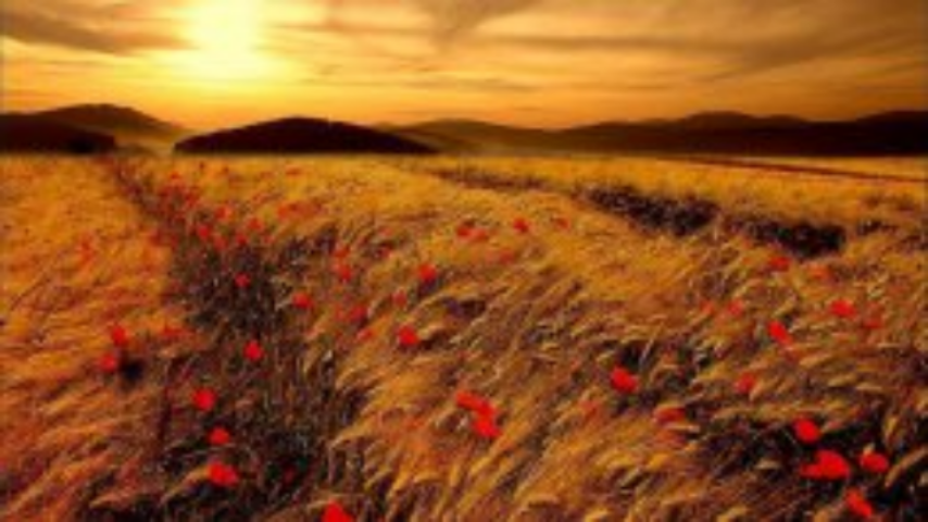 Топ-100 латифундистов Украины