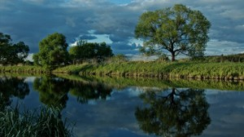 Назван лучший для жизни город-спутник Киева