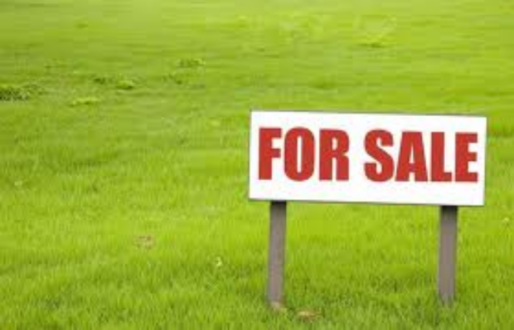 Если мораторий на продажу земли снимут, село будет уничтожено