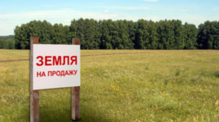 Земельная реформа застопорилась. Украинскую землю никак не поделят 