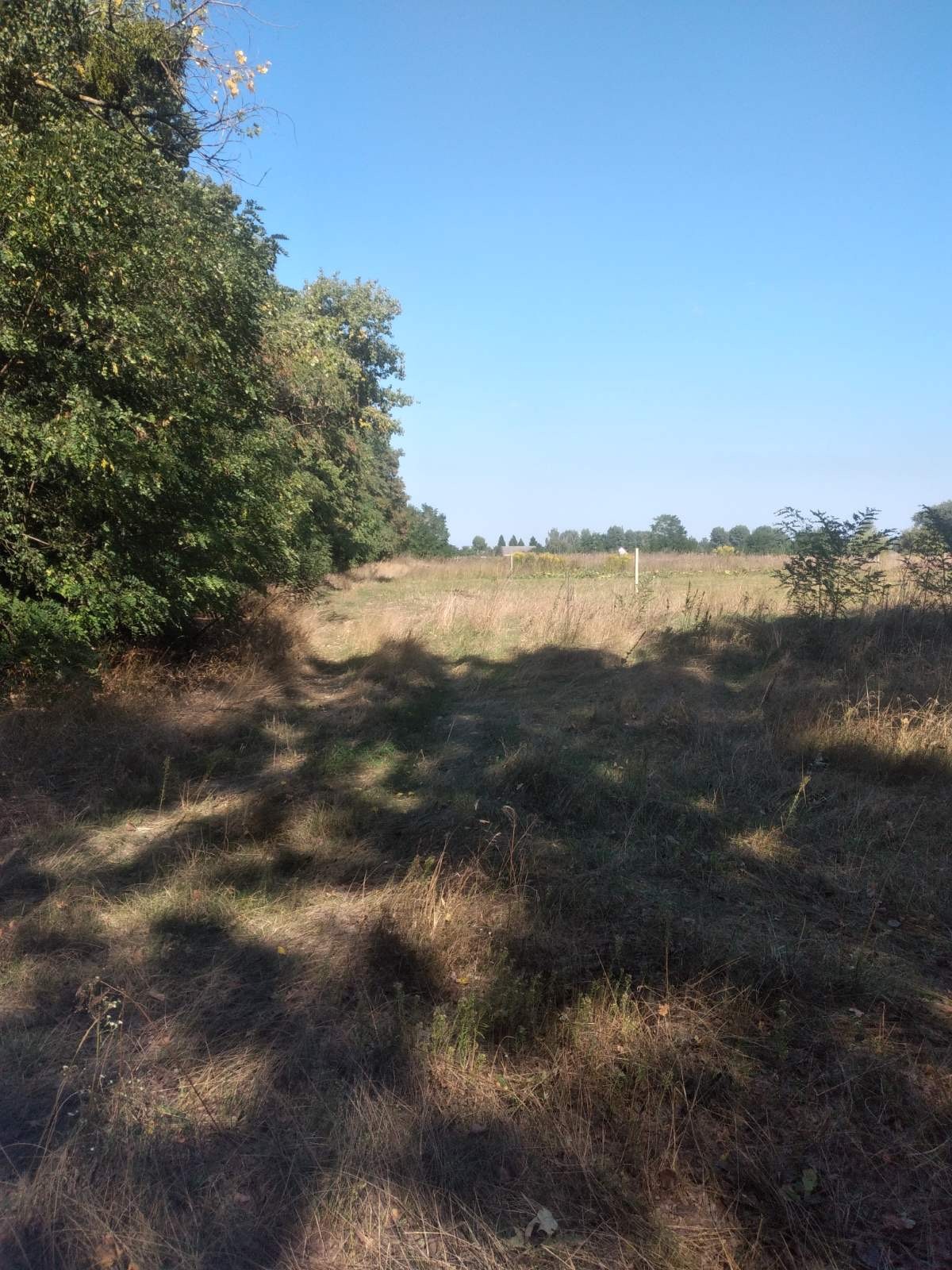 Продажа участка под индивидуальное жилое строительство 10 соток