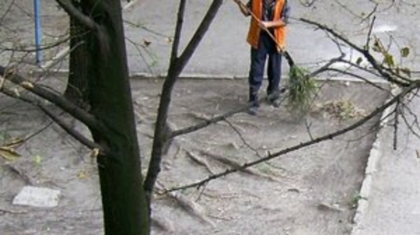 ОСМД не может выбрать даже своего дворника